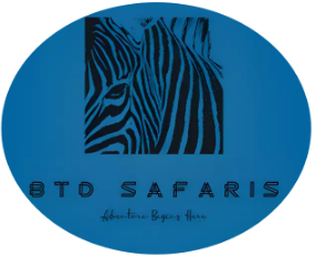 BTD safaris