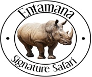 Entamana Signature Safari