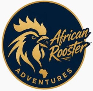 African Rooster Adventure
