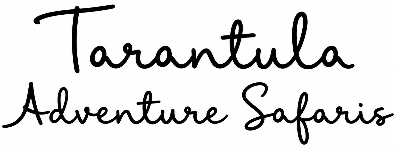 Tarantula Adventure Safaris